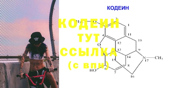 круглые Корсаков
