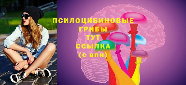 прущий лед Костерёво