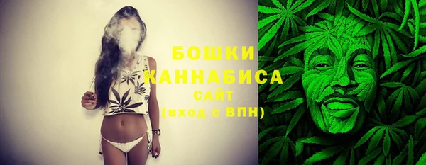 индика Коряжма