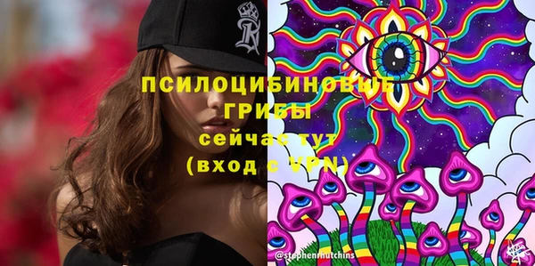 индика Коряжма