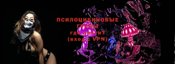 индика Коряжма
