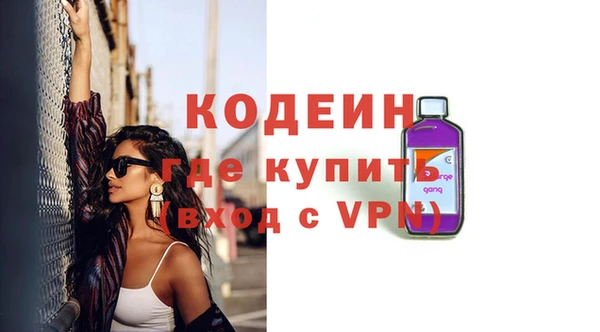 индика Коряжма