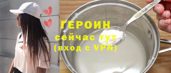 индика Коряжма