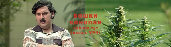 прущий лед Костерёво