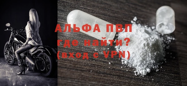 индика Коряжма