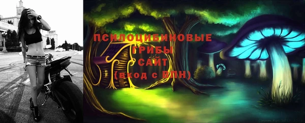 spice Краснослободск
