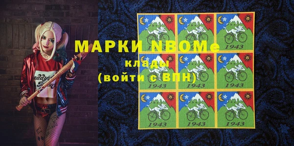 индика Коряжма
