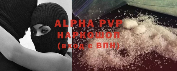 индика Коряжма