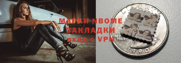 индика Коряжма